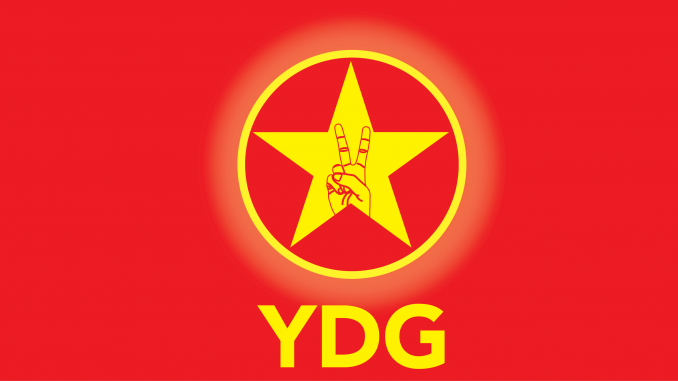 ydg logo-01